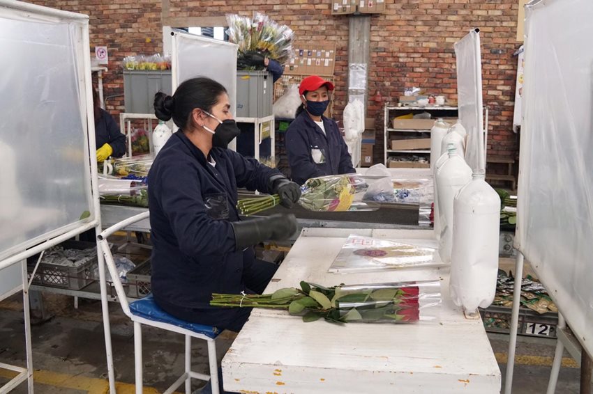 Bancóldex ha jugado un papel fundamental como instrumento de política pública